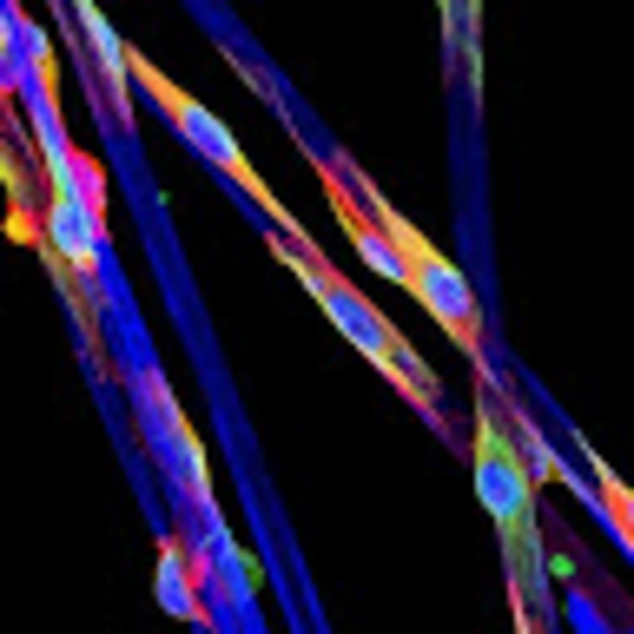 Meet your Posher, Laura - Picture 1 of 1